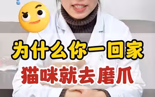 为什么你一回家猫咪就去磨爪？