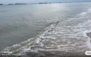 新加坡东海岸公园，还可以烧烤
