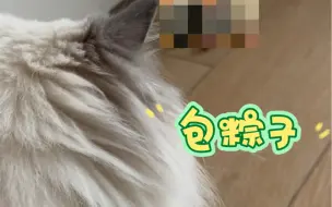 孝紫一大早给妈妈包粽子，辛苦啦