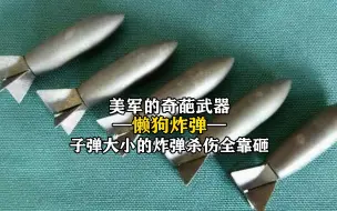 美军的奇葩武器，子弹大小的炸弹杀伤全靠砸，懒狗炸弹有多特别？