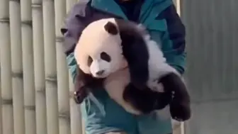 屁颠屁颠下班的奇三妹