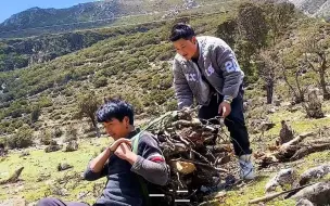 这次去热枯山上挖虫草，希望能满载而归