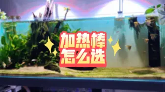 加热棒怎么选？（准备好电表倒转了吗）