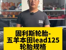 固利斯-五羊本田lead125轮胎规格