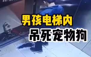 安徽一男孩用电梯吊死社区志愿者的宠物狗，警方已介入！