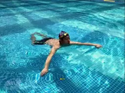 最舒服安逸的抬头蛙