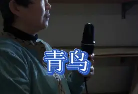 声嘶力竭版《青鸟》，大姨唱的血压都上来了