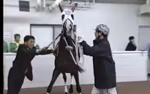 气槽：我不是针对武丰