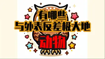有哪些与外表反差巨大的生物？