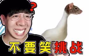笑死我了哈哈！吃饭喝水慎入！根本忍不住哈哈【不要笑挑战】