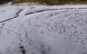 今早一片雪白的北湖牧场 2022.12.1