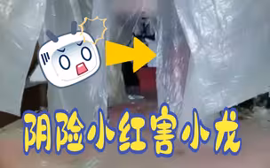 ⚡阴险小红害小龙⚡