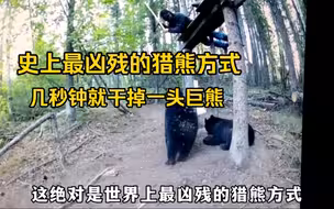 最凶残的猎熊方式，猎人手持长矛蹲坐树梢，几秒就能干掉一头巨熊