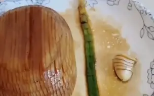 老板人都傻了
