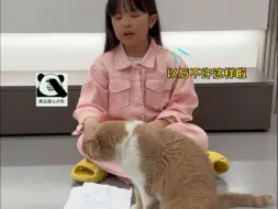 小猫没有错，它只想让我学习不那么累啊…