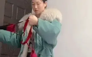 败家娘们儿，这买的啥玩意