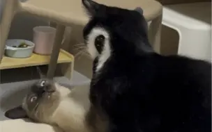 我不干净了…