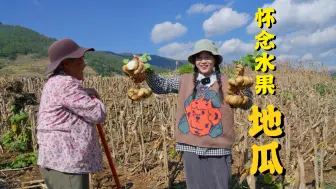 地瓜？凉薯？你们怎么叫的～既是水果又是蔬菜 你想尝尝吗？