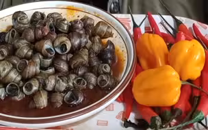 嗦螺配小米辣灯笼椒，嘎嘎香！