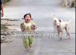 “它用自己的一生来治愈孩子的童年”