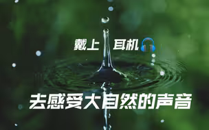 【耳机党福利】戴上耳机去感受大自然的声音