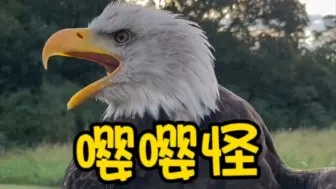 鹰酱肺活量不太够