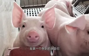我妈不让我和傻子玩~