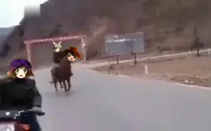 骊 驹 早 鬼