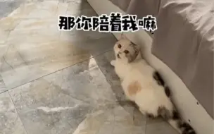 我就是个没有感情的扶手罢了～