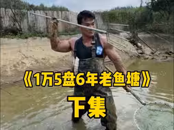 花15000包下6年老鱼塘，是亏是赚，马上见分晓