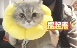 【新鲜DJ版粽子&元宝】你给北京wb一个好苗子 北京wb还你一个好摇子