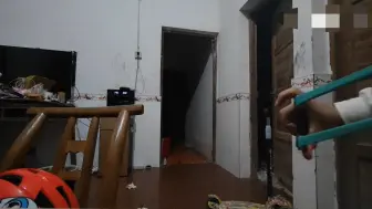 弹弓打老鼠，它在刀锋上跳舞，自寻死路