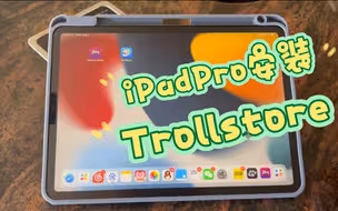 iPadPro安装巨魔［Trollstore］测试软件全部成功！