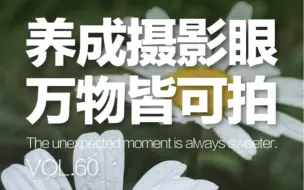 手机摄影教程/手机拍照技巧/摄影取景构图 自学摄影/零基础学摄影/手机拍照第一视角 养成摄影眼万物皆可拍/用摄影师的眼睛看世界 我看到的vs我拍到的