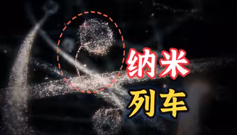 [细胞秘事20]细胞骨架（中）：突破极限的进化，纳米列车