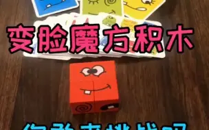 变脸魔方积木，你敢来挑战吗！