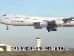 为何美国工程师经常会用鸡尸体来攻击飞机