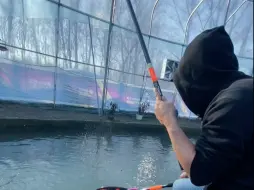 黑坑实测 最强子线第二集