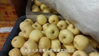 树上熟奶油红富士还有最后100箱，谁要可以看看，终于走到地头了