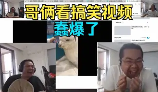哥俩看哈巴视频 诈骗电话给羊驼接 哥俩屎都快笑出来