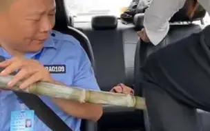 这么甜的甘蔗，可惜我没全部把它拿下 ！