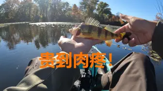 【钓鱼vlog】最贵的一次冬钓！