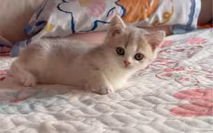 谁呀，这么爱撒娇呀