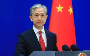 汪文斌：全人类共同价值树立了当今世界评判是非、善恶、正邪的真正标杆