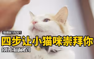 四招让你的猫快速崇拜你，有猫的学起来