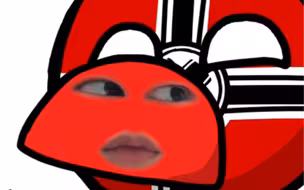 波兰迷因