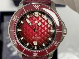 海鸥潜水表 四海龍王  Sea-Gull Dive Watch. Okeanos · Loong. 30 ATM. Ref. 811.52.1216