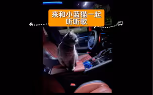 【508L】原装音响 如愿by王菲 来和小蓝猫一起听听歌