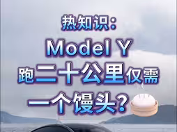 热知识：Model Y跑二十公里仅需一个馒头