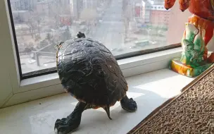 你是想出门走亲戚吗？上上下下折腾